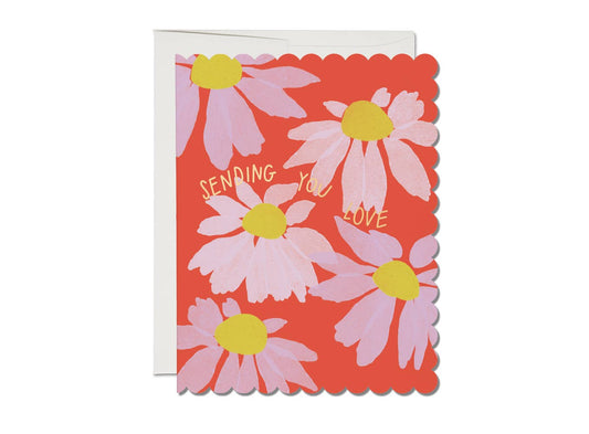 Scalloped Coneflower sympathy greeting card -  by Carlyle Avenue