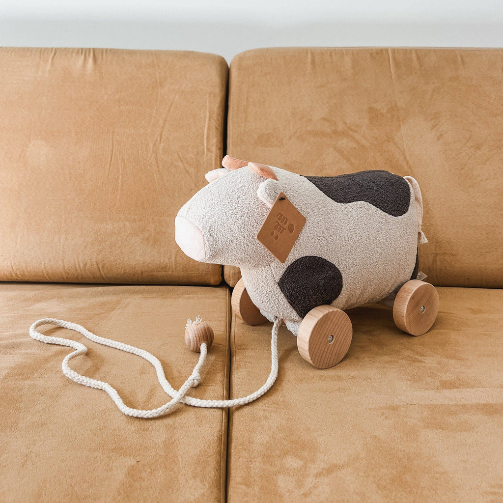 WILLOW // pull-along toy