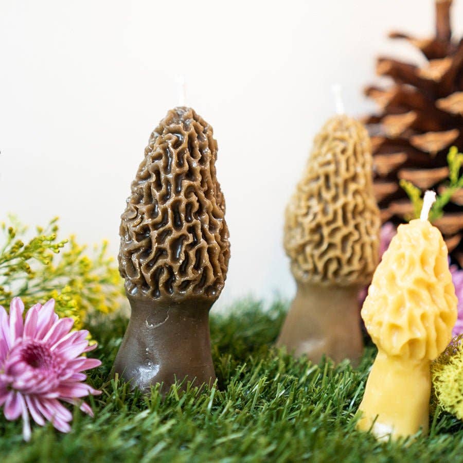 Morel Mushroom Beeswax Candle 2-pack -  by Carlyle Avenue