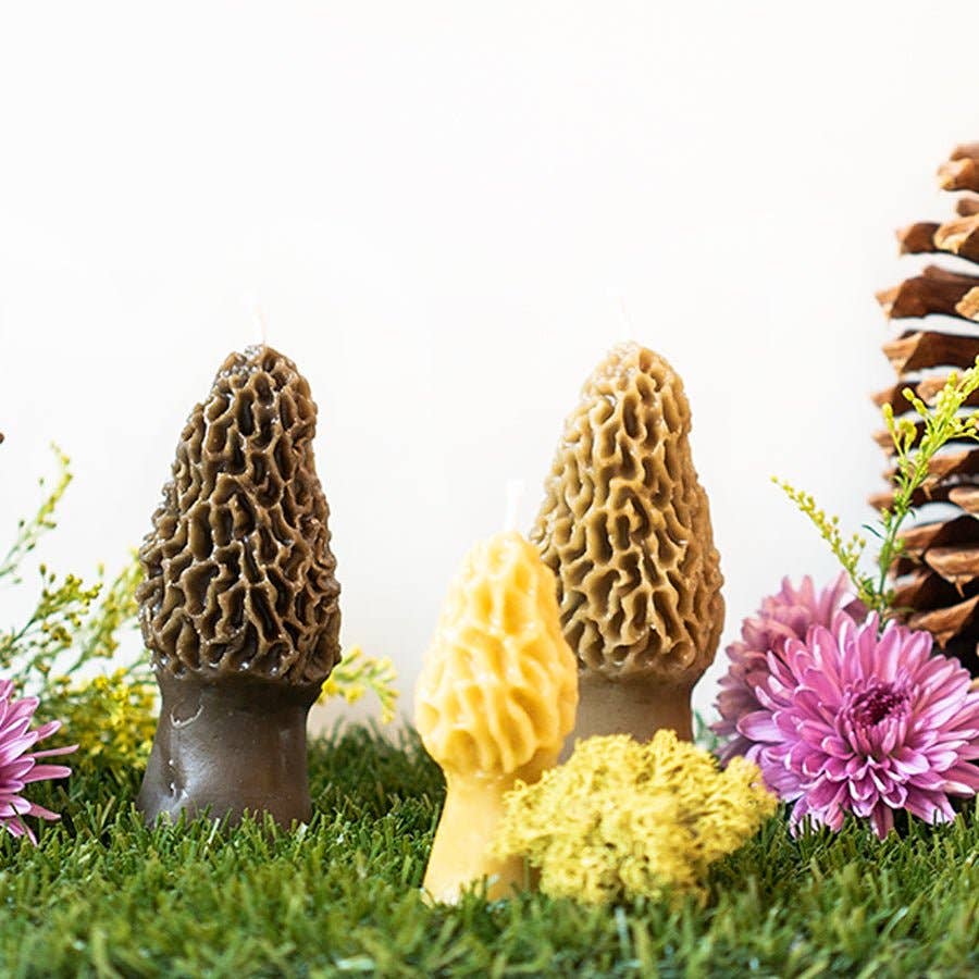 Morel Mushroom Beeswax Candle 2-pack -  by Carlyle Avenue