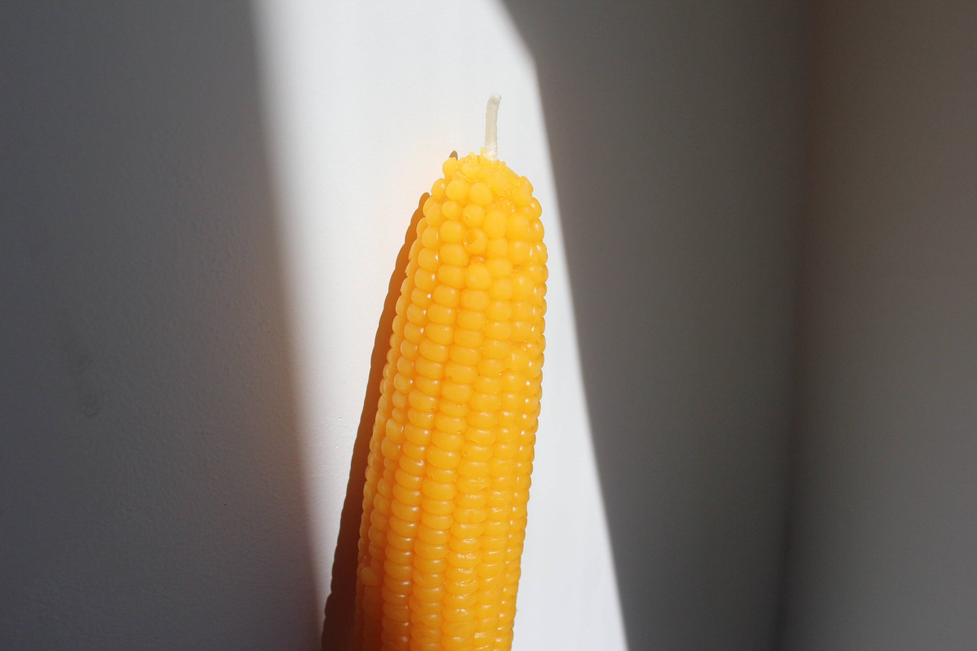 Sweet Maíz Fall Harvest Table Beeswax Candles -  by Carlyle Avenue