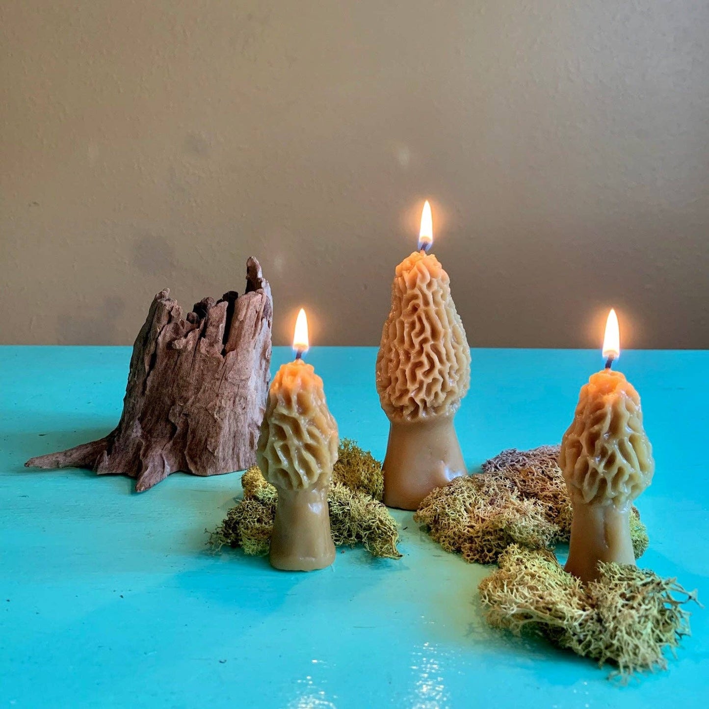 Morel Mushroom Beeswax Candle 2-pack -  by Carlyle Avenue