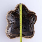 Mexican Onyx/Calcite Chocolate BOWL OOAK displayed with measurement tape for size reference.