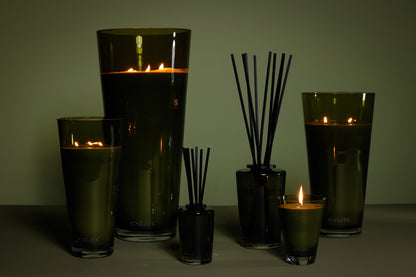 Estate Candle Collection - Olive - Palm - CARLYLE AVENUE