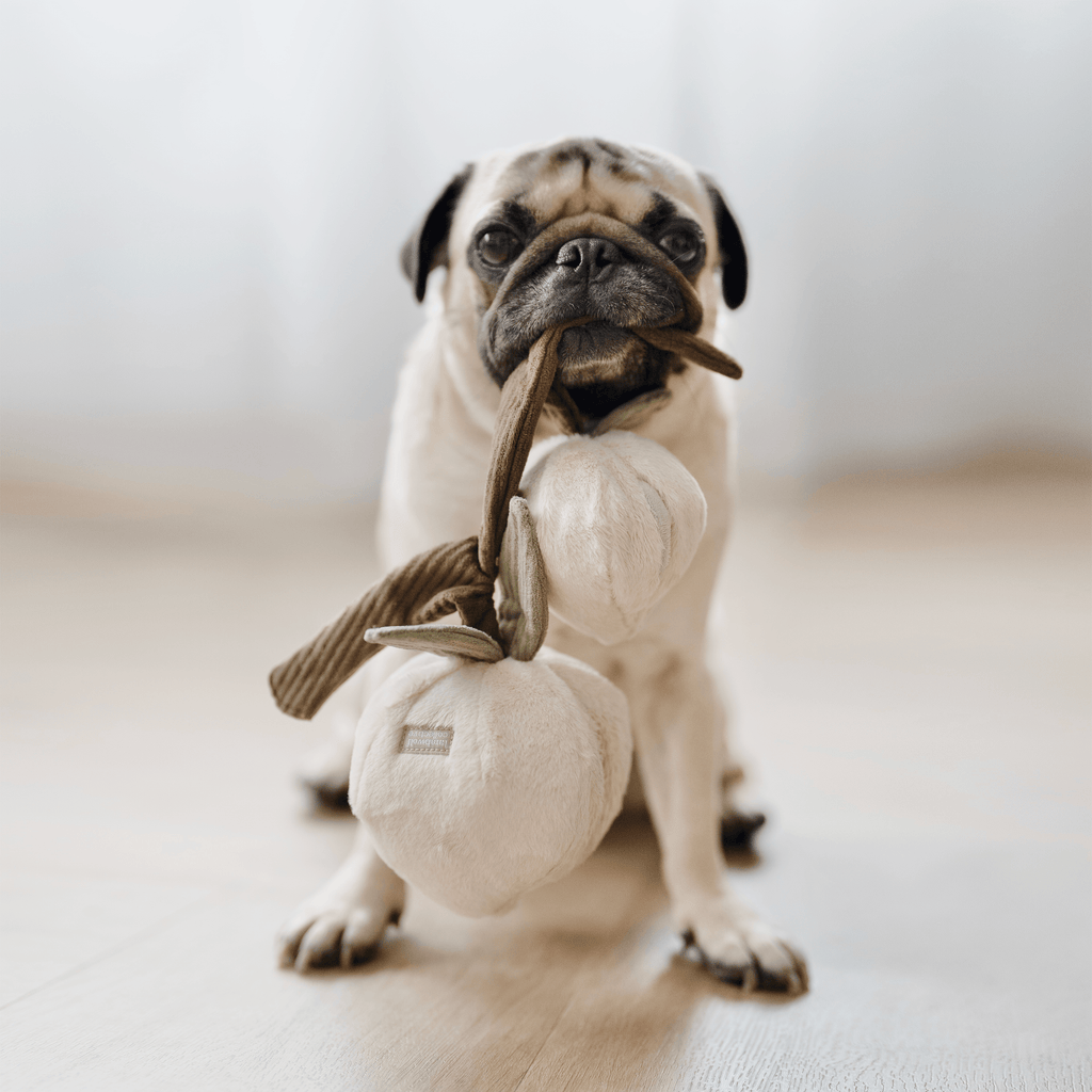 MOMO//ENRICHMENT DOG TOY