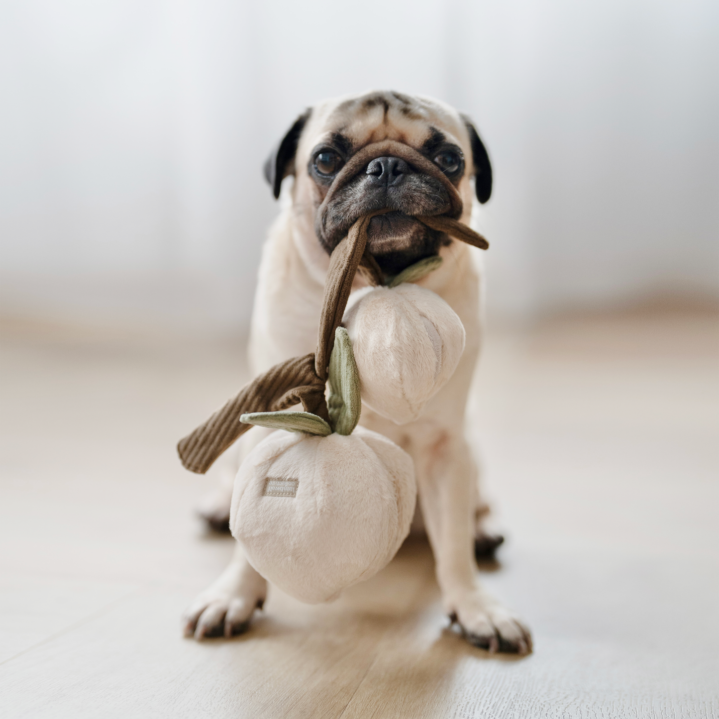 MOMO//ENRICHMENT DOG TOY