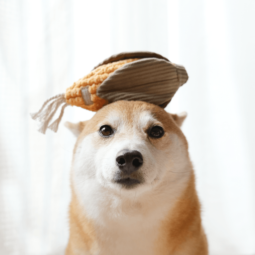 CORN + LEEK SET//ENRICHMENT DOG TOY