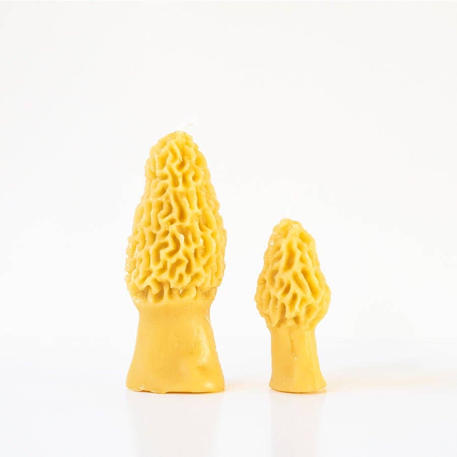 Morel Mushroom Beeswax Candle 2-pack -  by Carlyle Avenue