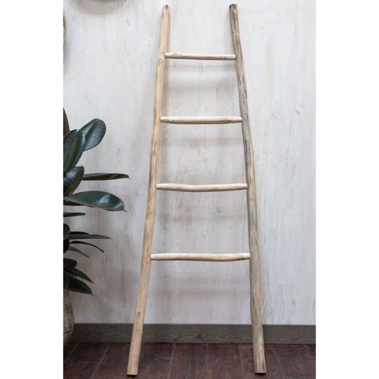 Kanu Ladder