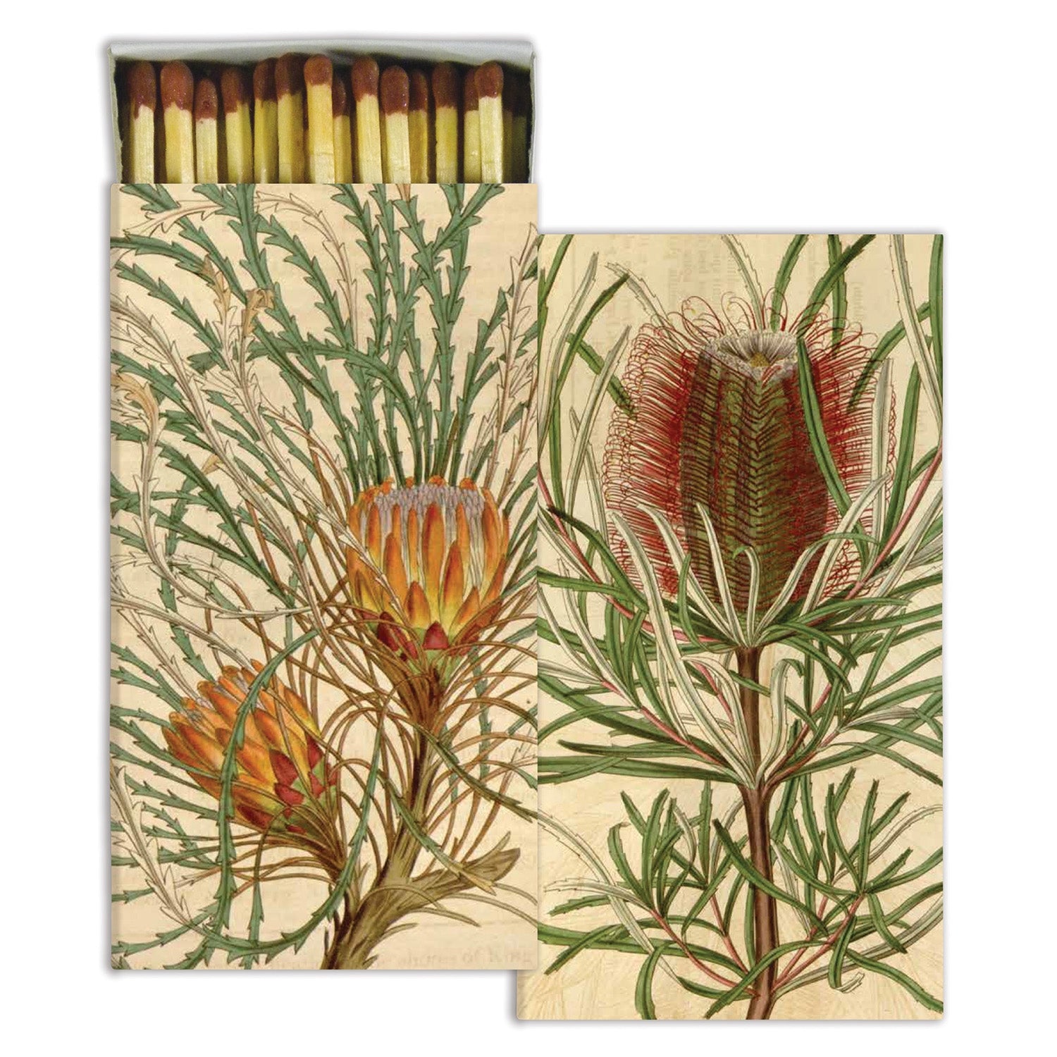 Matches - Protea