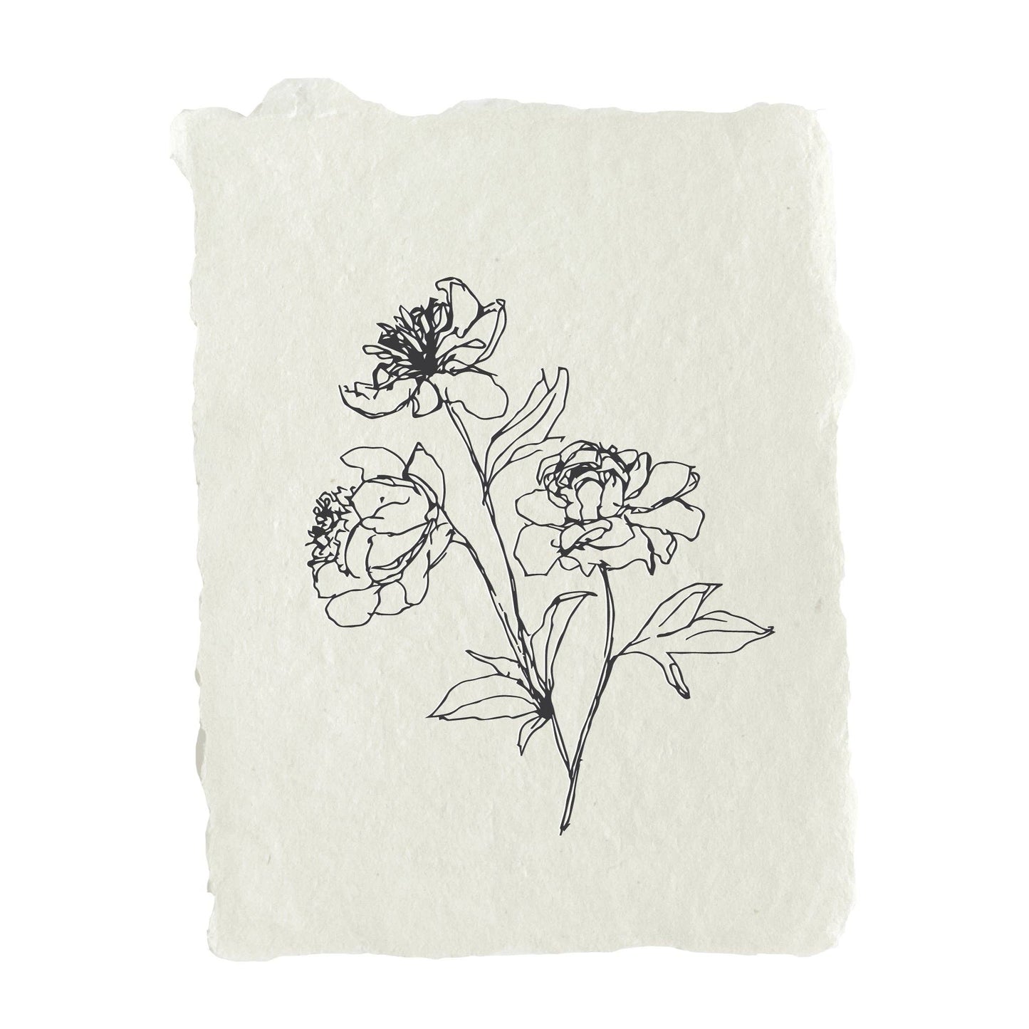 Peony stems note card