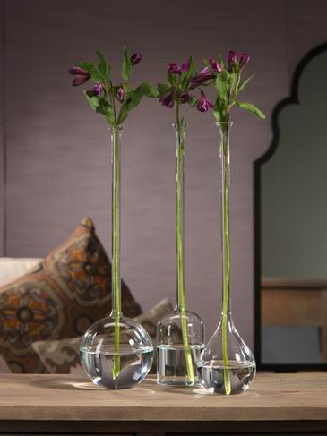 Long Neck Vases - CARLYLE AVENUE