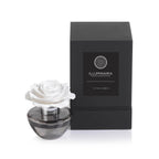 Illuminaria Porcelain Diffuser in Gray Bottle - REFILL - Set of 6 - Diffusers by Carlyle Avenue
