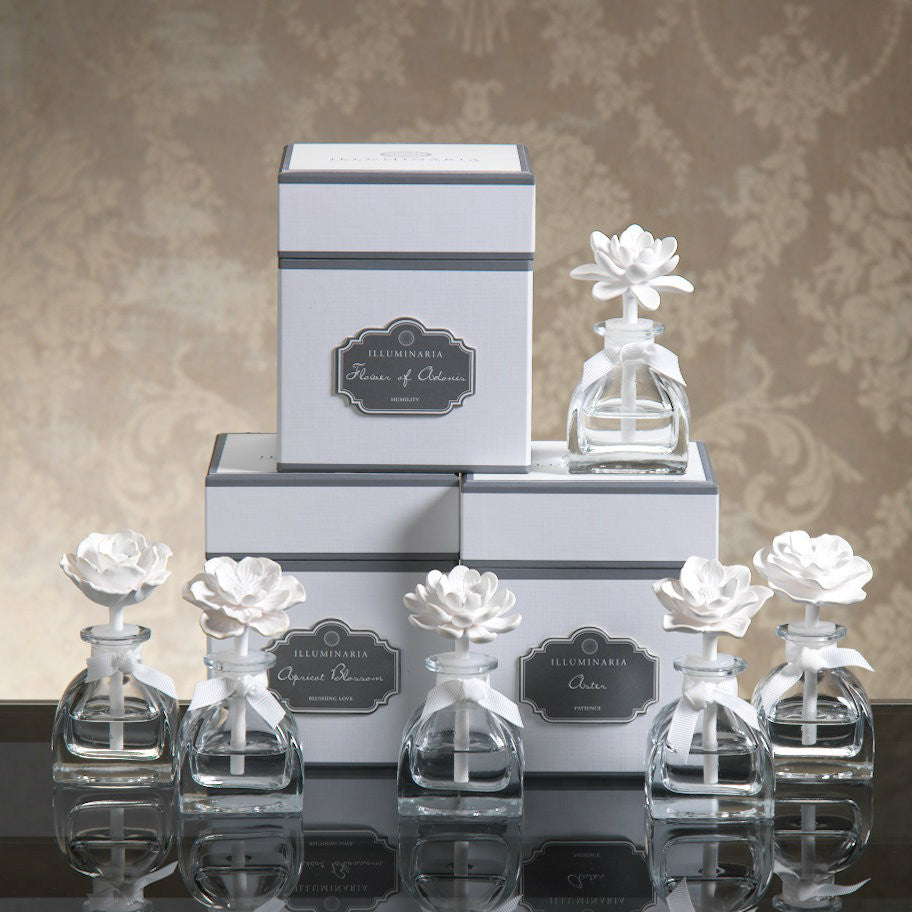 Illuminaria Mini Porcelain Diffuser - REFILL - Set of 6 - CARLYLE AVENUE