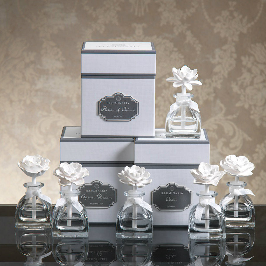 Illuminaria Mini Porcelain Diffuser - REFILL - Set of 6 - Diffusers by Carlyle Avenue