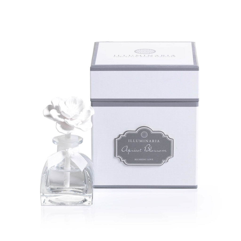 Illuminaria Mini Porcelain Diffuser - REFILL - Set of 6 - Diffusers by Carlyle Avenue