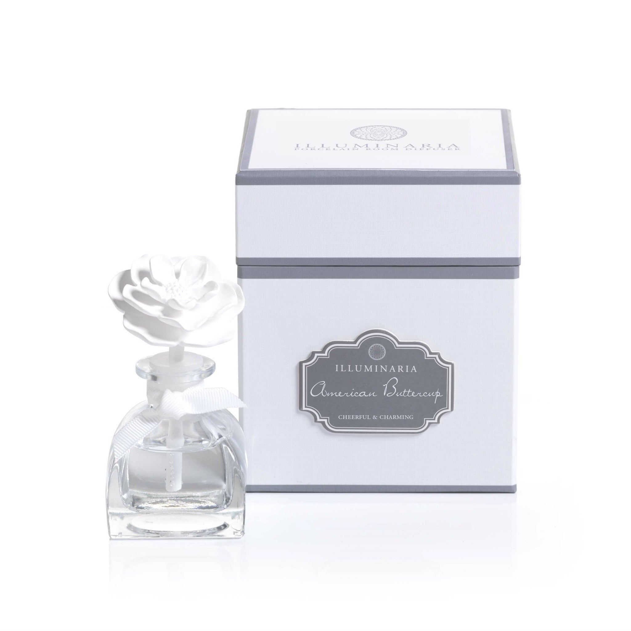 Illuminaria Mini Porcelain Diffuser - REFILL - Set of 6 - Diffusers by Carlyle Avenue