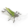 Decorative Bug Figurines — Green & Nickel - Decorative Accessories by Carlyle Avenue