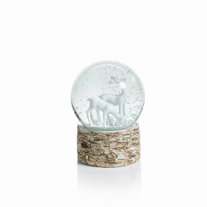Snow Globe on Birch - Snow Globes by Carlyle Avenue