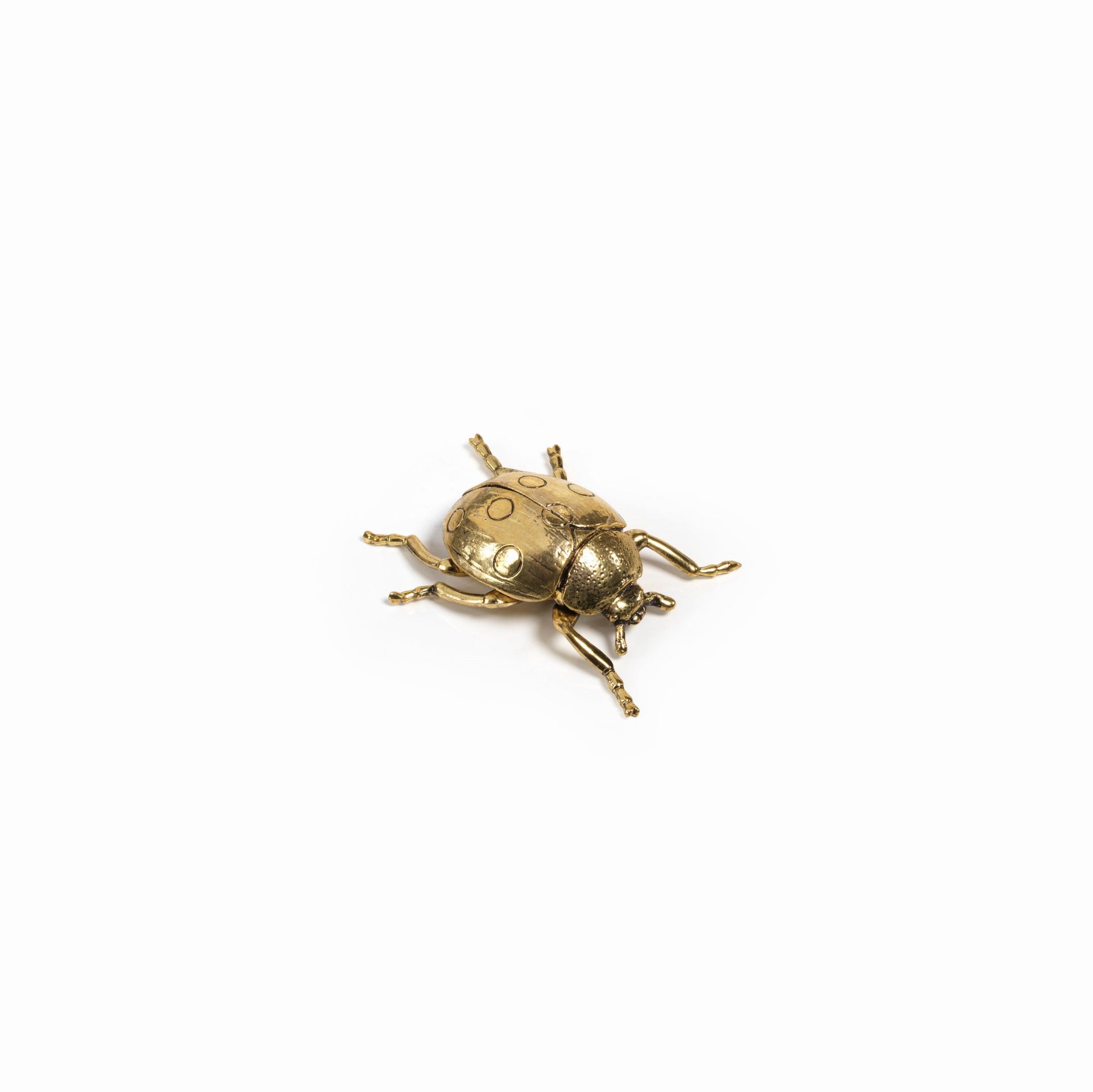 Decorative Gold Ladybug - CARLYLE AVENUE