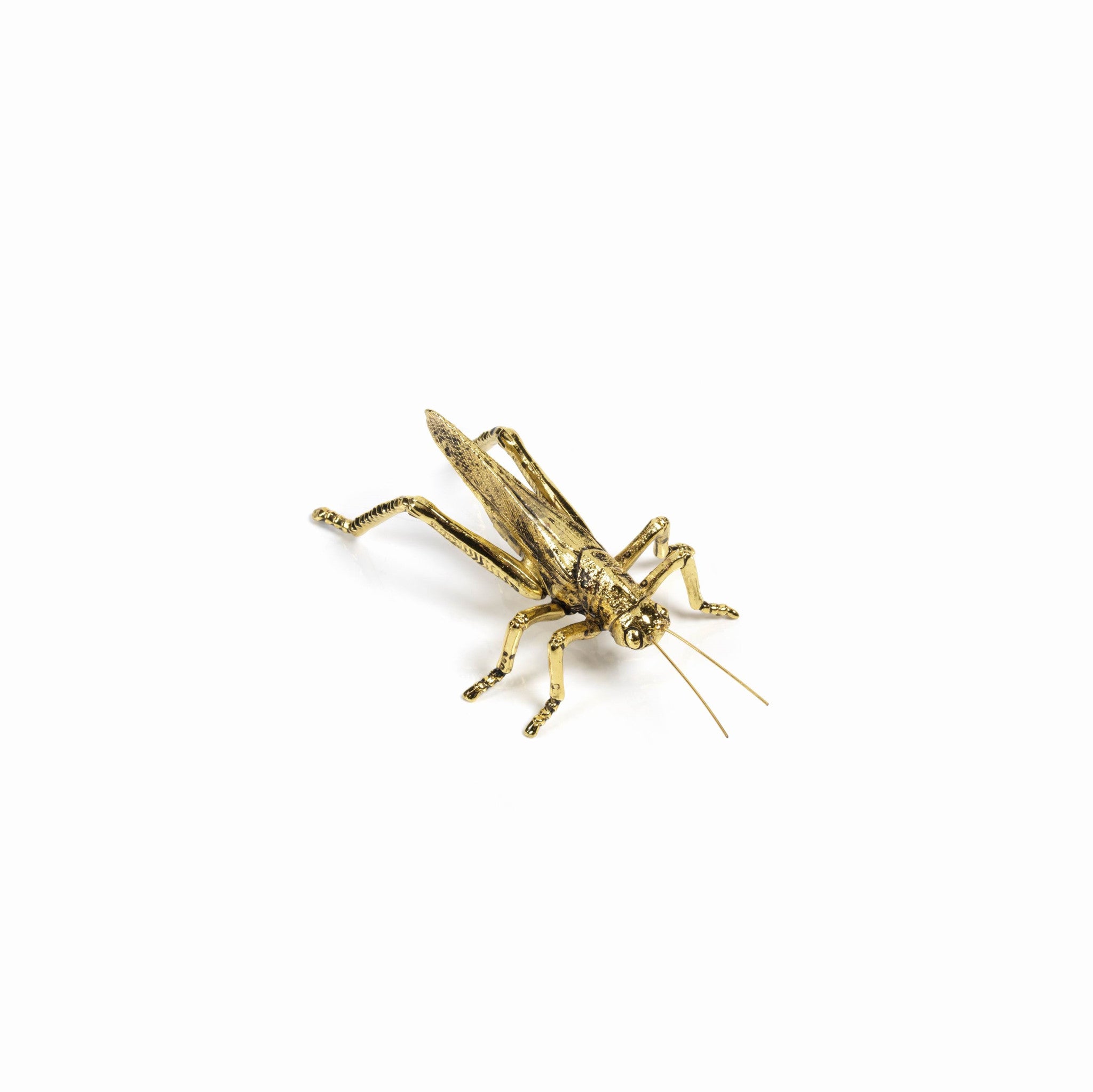 Decorative Gold Grasshopper - CARLYLE AVENUE