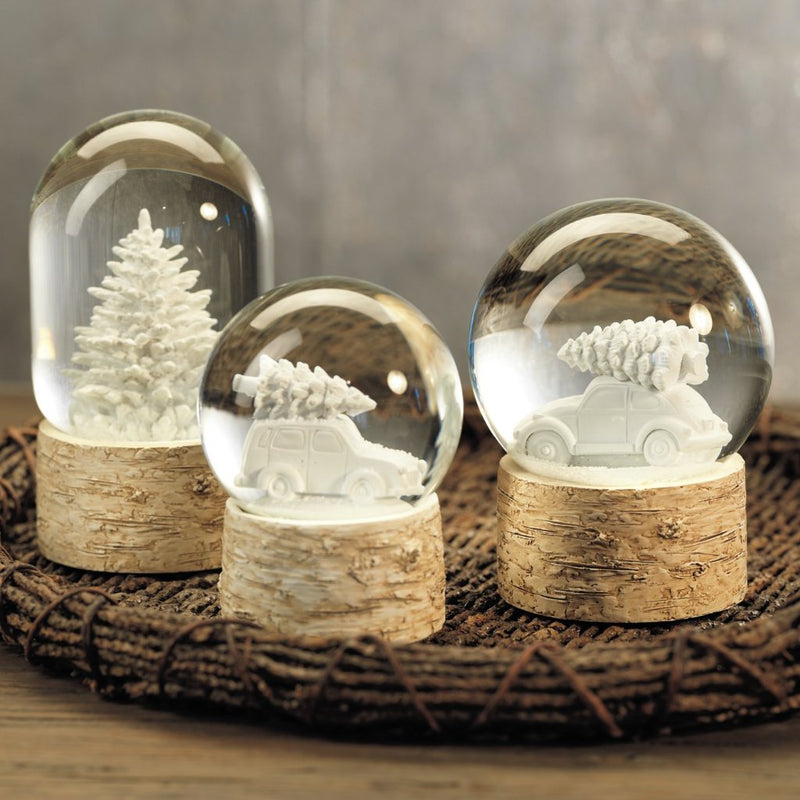 Snow Globe on Birch w/ Tree - Snow Globes by Carlyle Avenue