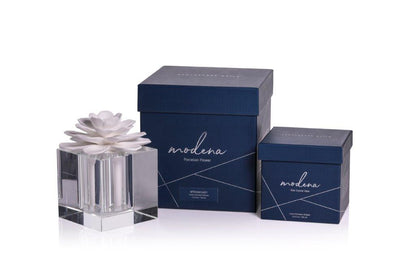 Modena Large Flower Diffuser Set - Diffusers by Carlyle Avenue