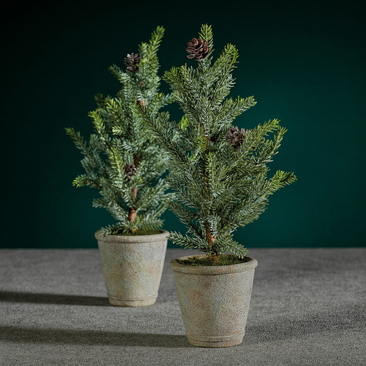 Pine Tree with Pinecones in Cement Pot