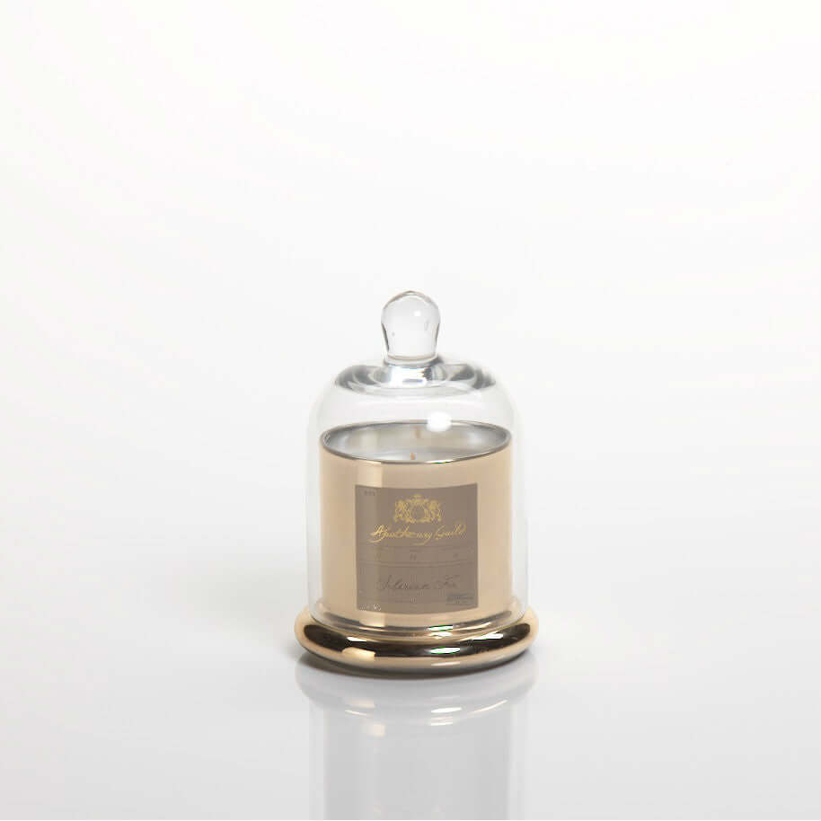 Apothecary Guild Domed Candle - Siberian Fir - Gold - Candles by Carlyle Avenue