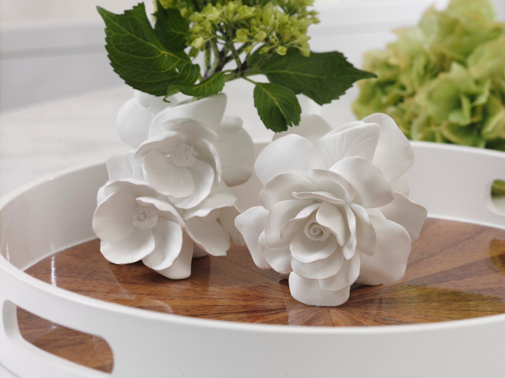 Cameo Vases - Set of 4 - CARLYLE AVENUE