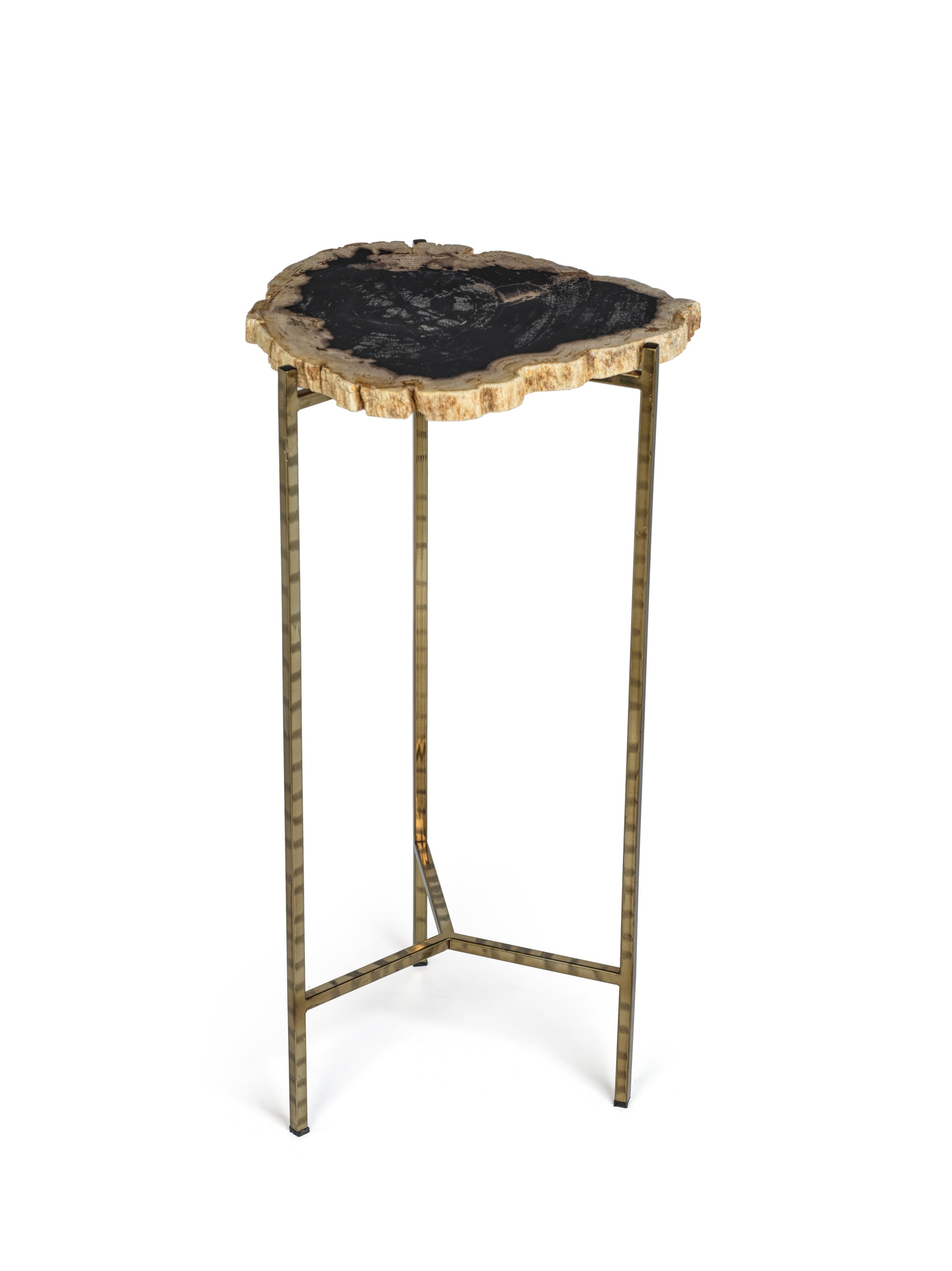 Petrified Wood Side Table - Furniture by Carlyle Avenue