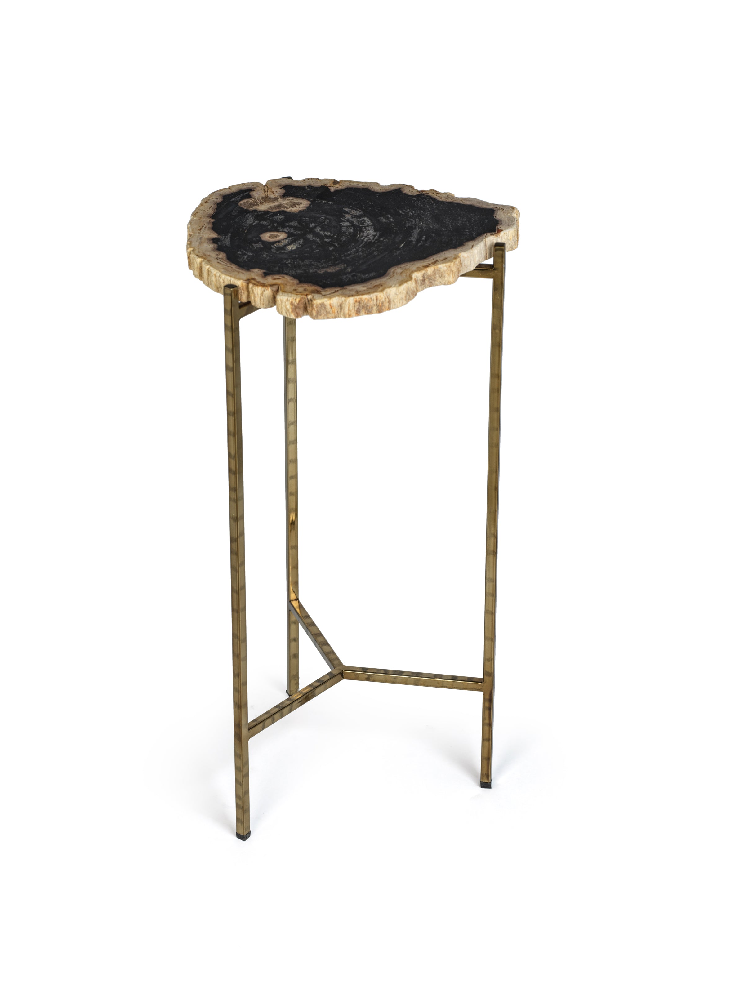 Petrified Wood Side Table - CARLYLE AVENUE
