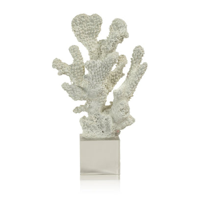 White Coral on Acrylic Base - Decorative Accessories by Carlyle Avenue