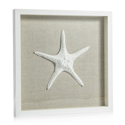 White Framed Starfish - Decorative Accessories by Carlyle Avenue