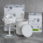 Seychelles Fragranced Candle - Diffusers by Carlyle Avenue