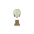Natural Clamrose Sea Shells on Wood Stand - Decorative Accessories by Carlyle Avenue