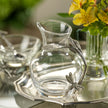 Dragonfly Pewter & Glass Carafe