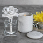 Seychelles Porcelain Diffuser - Diffusers by Carlyle Avenue
