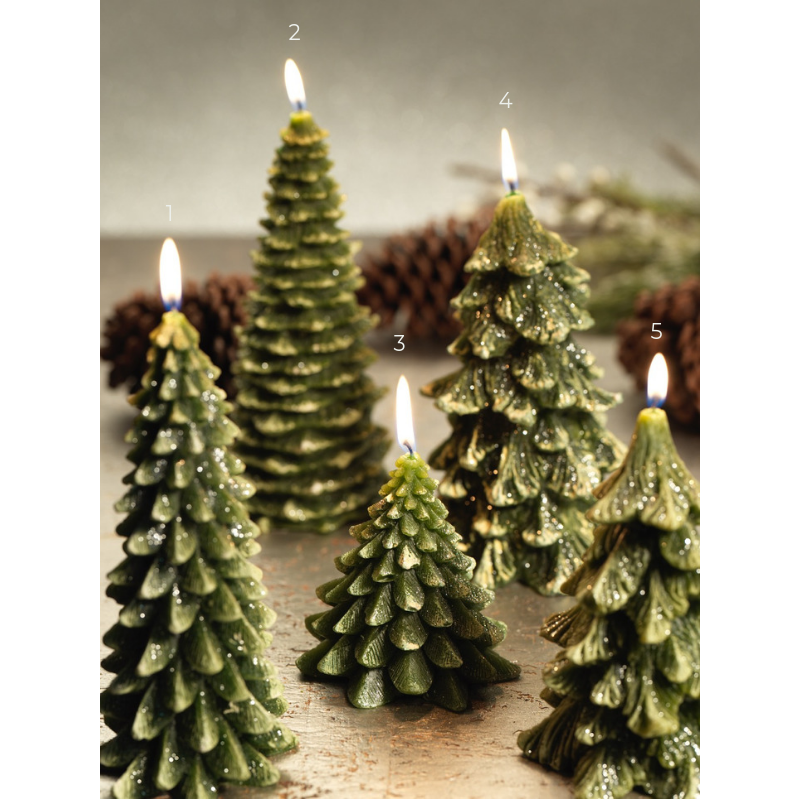 Winter Pine Tree Candle - CARLYLE AVENUE